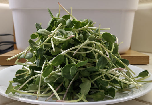 What are the nutrients in sunflower microgreens?